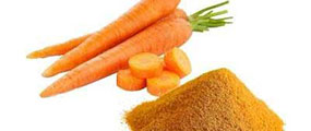 Carrot Powder