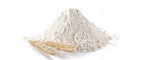 Wheat Flour